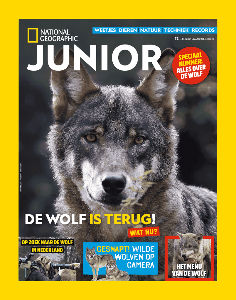 Cover-National-Geographic-Junior-wolf-special