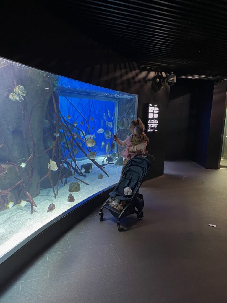 Aquarium Donostia - San Sebastián in Baskenland (Spanje)
