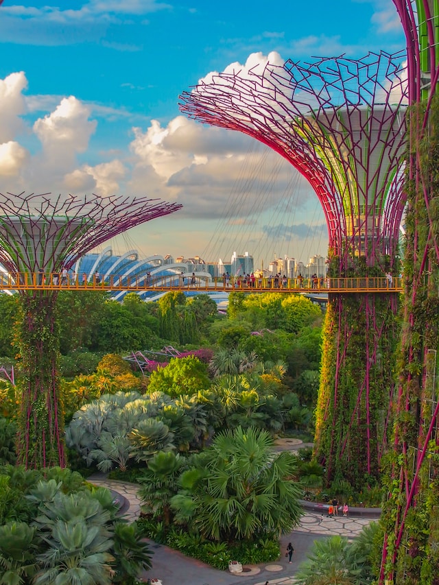 Super Tree Grove at Gardens by the Bay Singapore