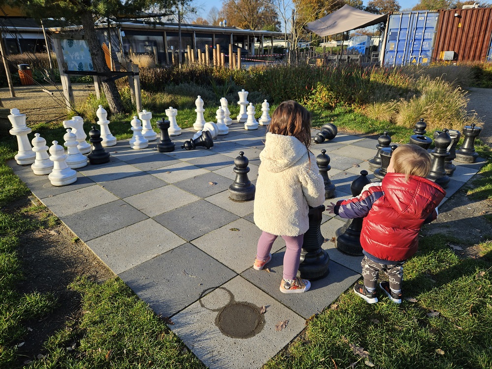 schaken Recreatiepark De Boshoek