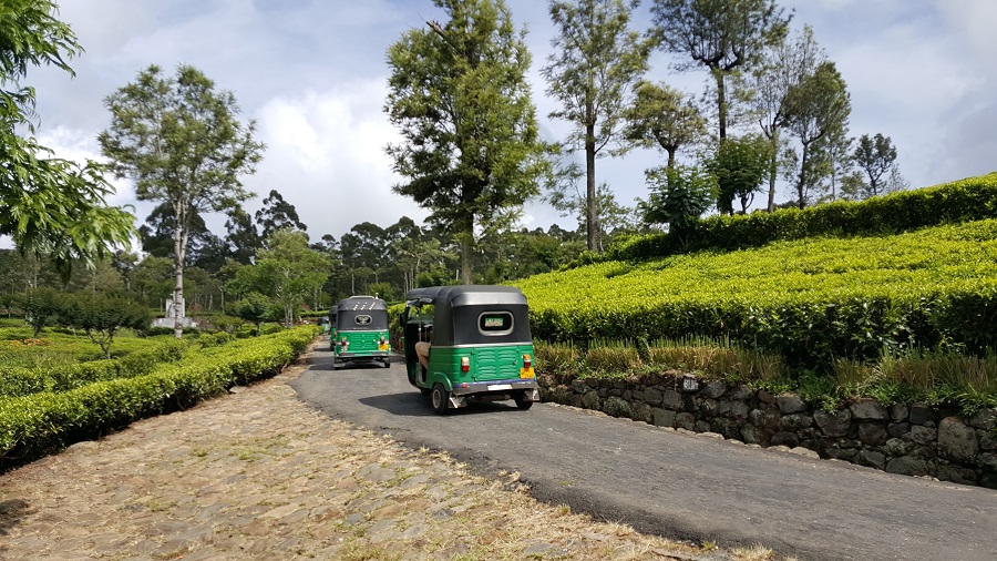 Backpacken in Sri Lanka met kids - Tuktuk omgeving Haputale
