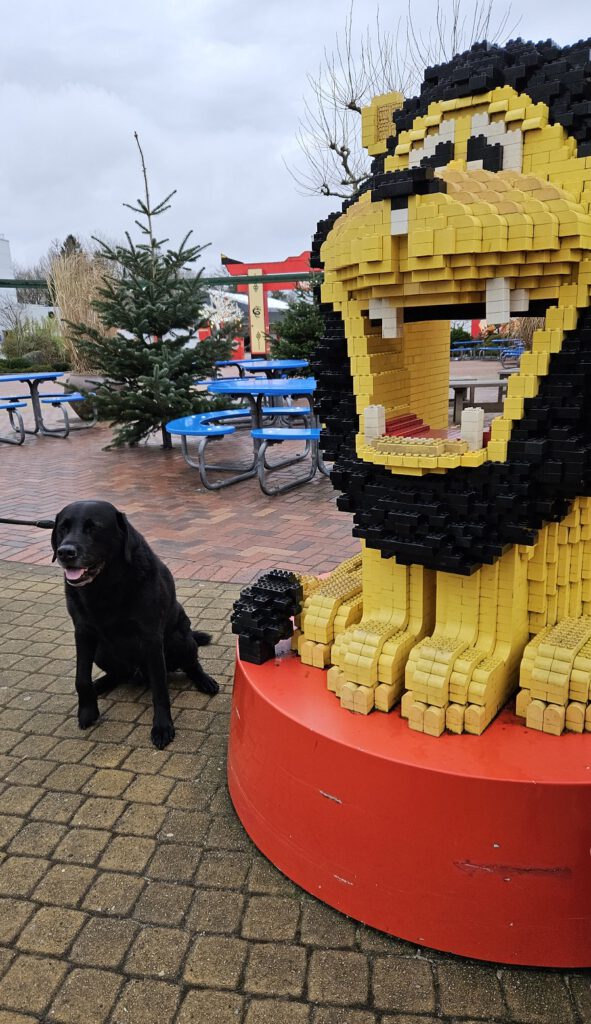 hond mee in LEGOLAND® Billund in Denemarken