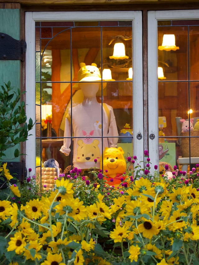 Winnie the Pooh winkel met merchandise