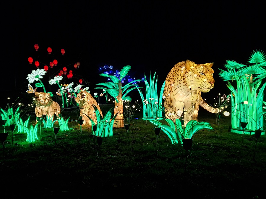 China Lights Festival in Tiergarten Kleve