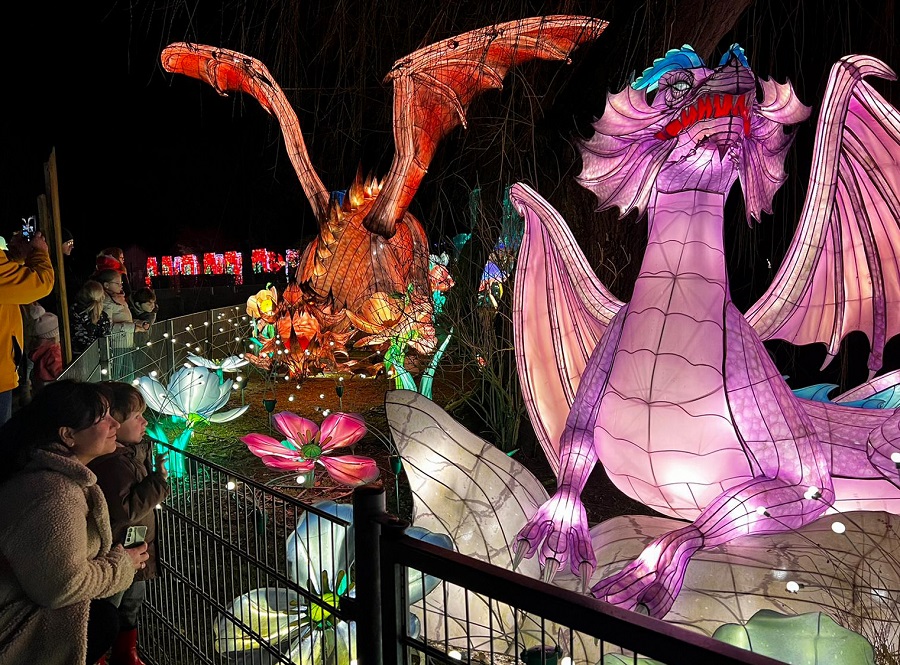 China Lights Festival in Tiergarten Kleve