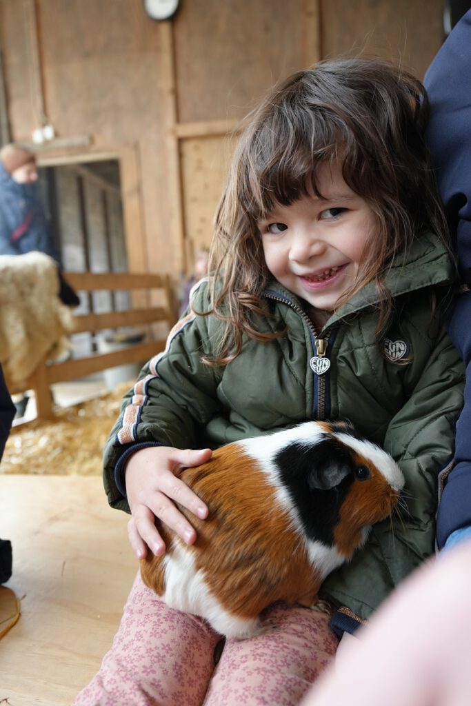 Texel met kids - Schapenboerderij