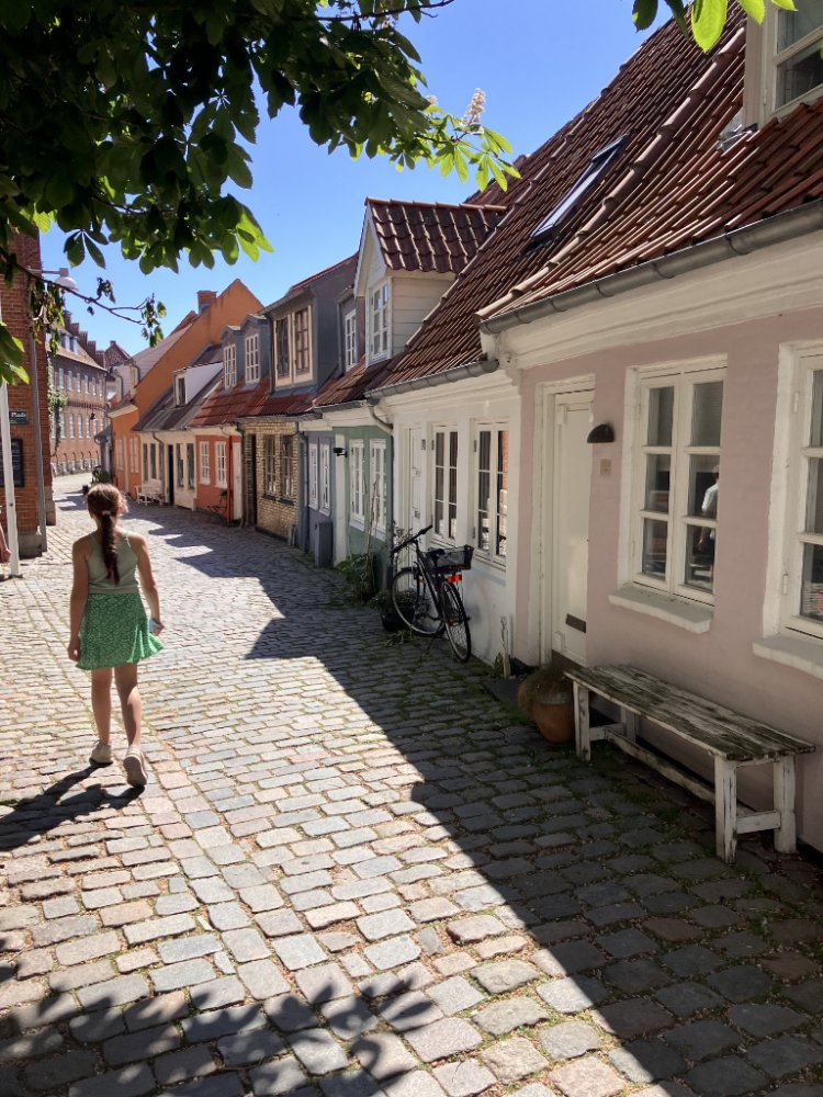Aalborg gekleurde huisjes