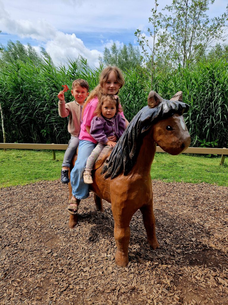 Zomer op Avonturenboerderij Molenwaard (review)