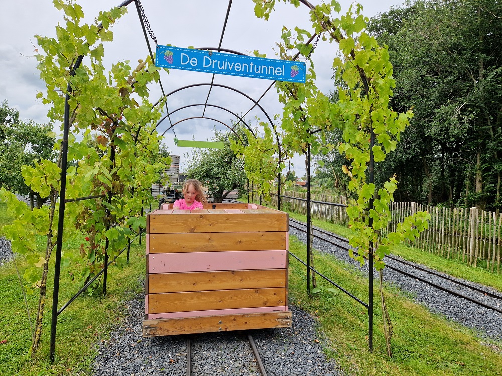 Zomer op Avonturenboerderij Molenwaard (review)