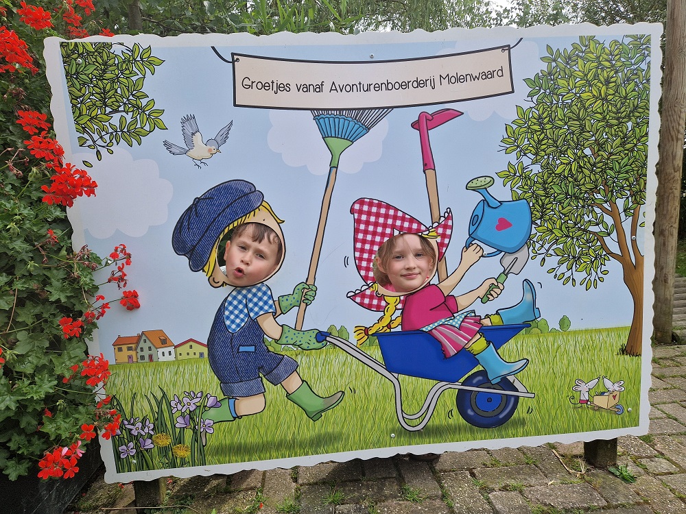 Zomer op Avonturenboerderij Molenwaard (review)