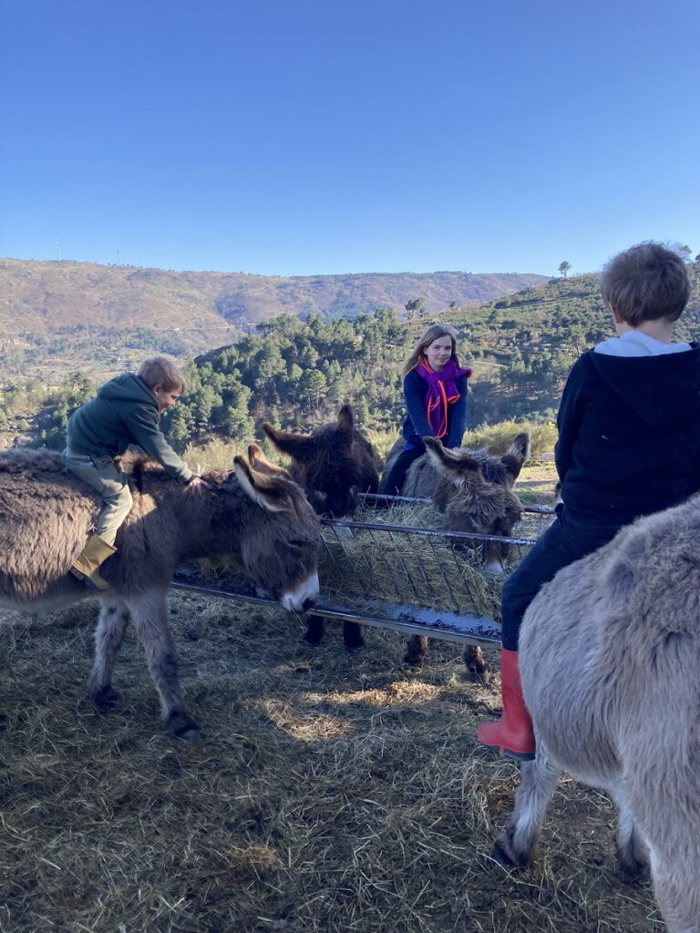 Een sabbatical met kinderen? 6 maanden op reis met een camper.