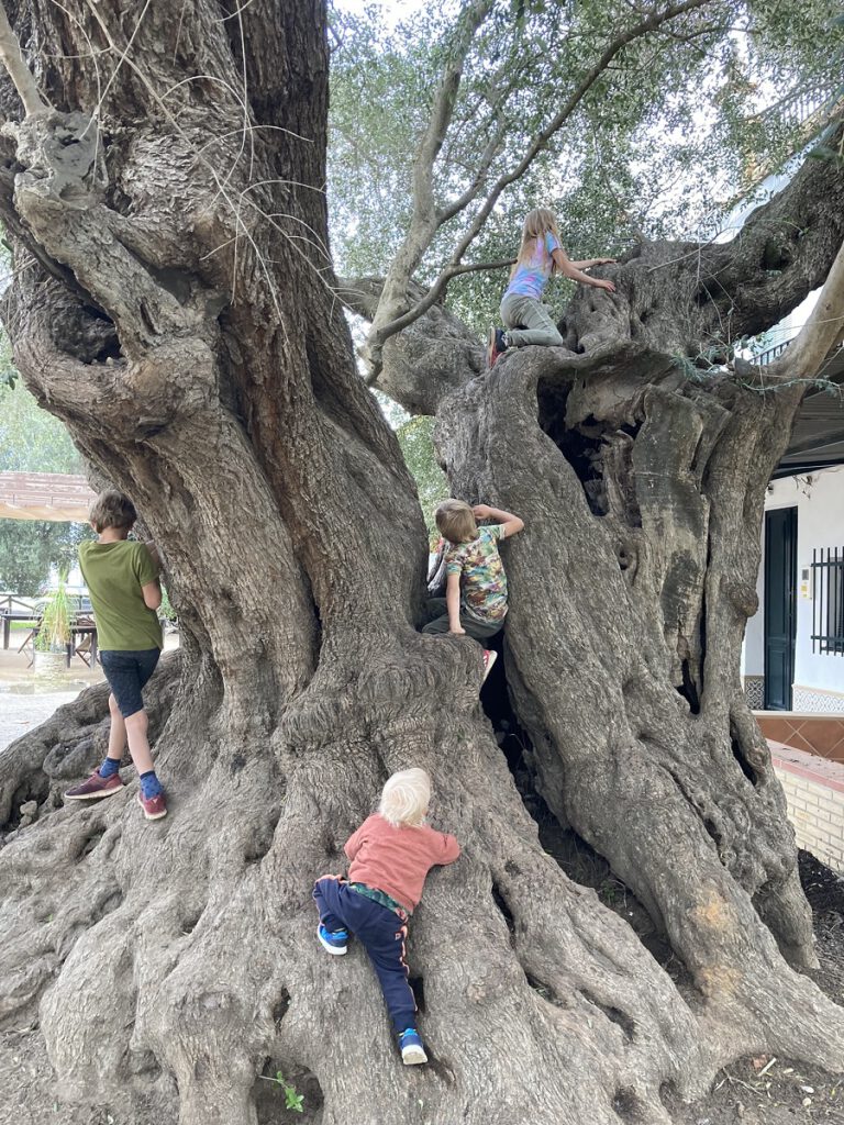 Een sabbatical met kinderen? 6 maanden op reis met een camper.