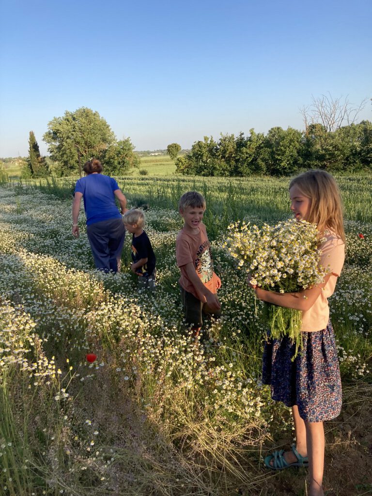 Een sabbatical met kinderen? 6 maanden op reis met een camper.