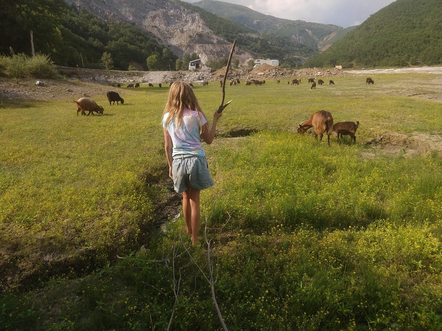 Een sabbatical met kinderen? 6 maanden op reis met een camper.