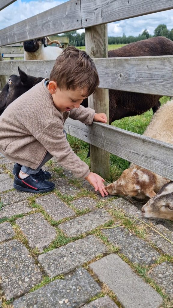 Zomer op Avonturenboerderij Molenwaard (review)