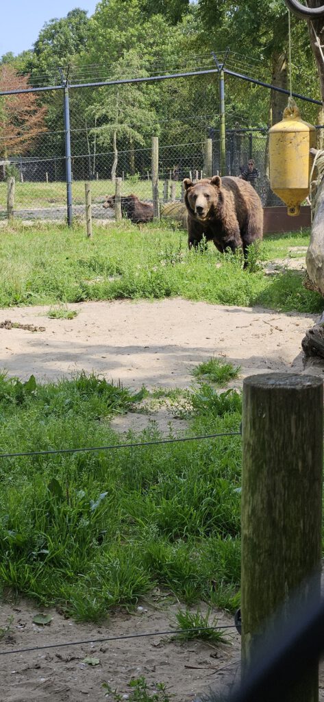 Dierenpark Hoenderdaell review