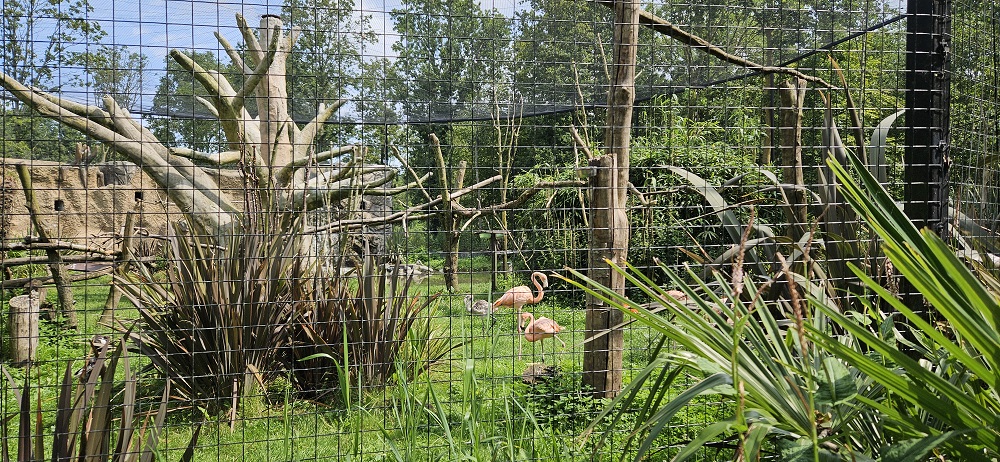 Dierenpark Hoenderdaell review