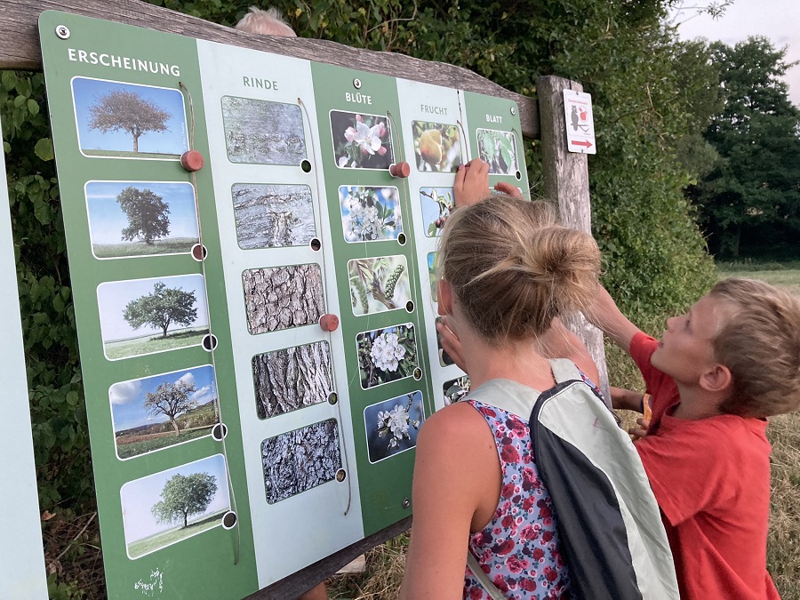 Een sabbatical met schoolgaande kinderen - En school dan?