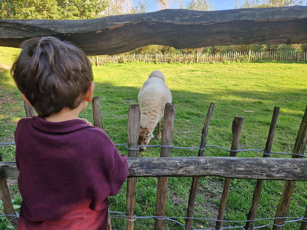 Op ontdekkingsreis in het preHistorisch Dorp (review)