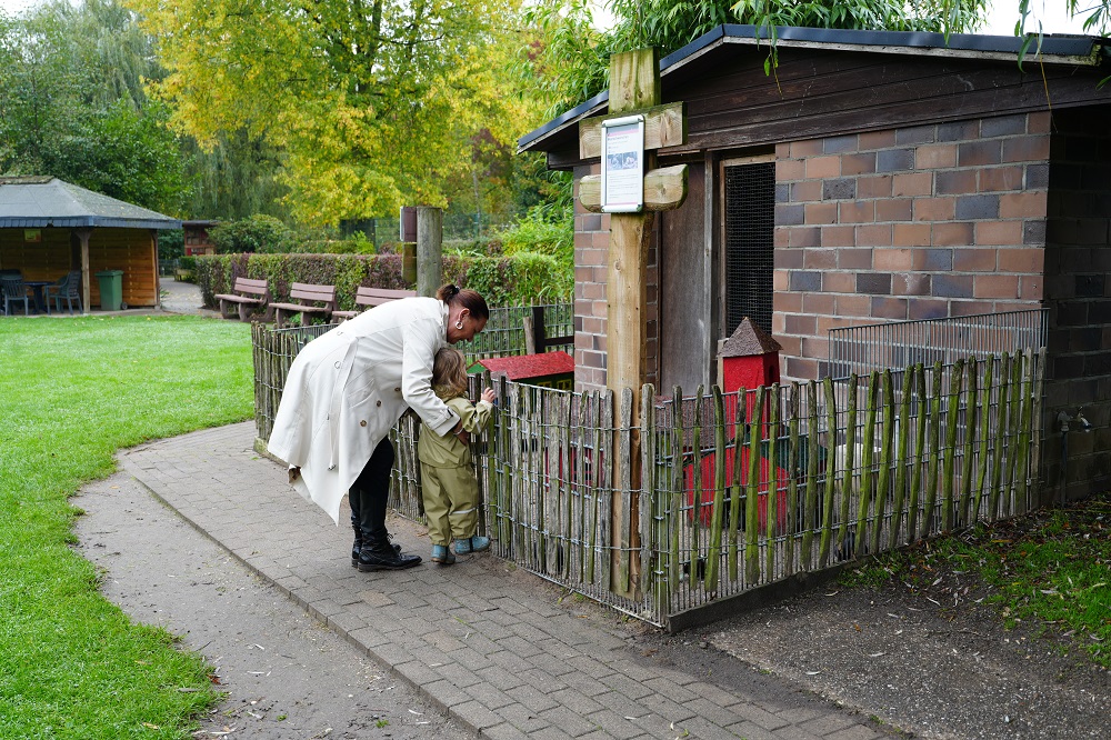 Een unieke rondleiding bij Tiergarten Kleve in Duitsland (review)