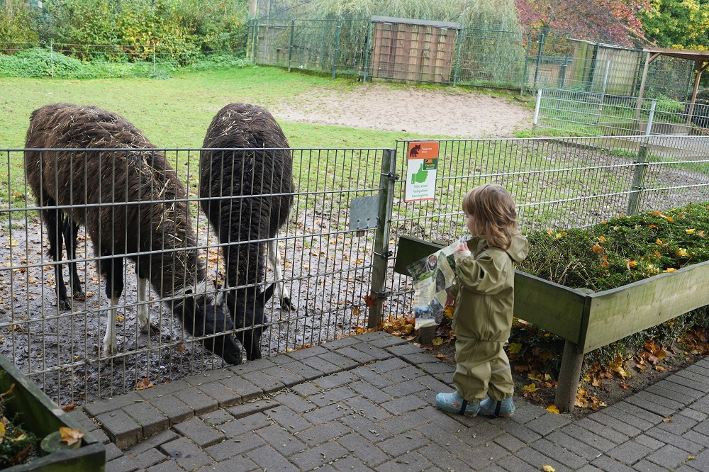 Een unieke rondleiding bij Tiergarten Kleve in Duitsland (review)