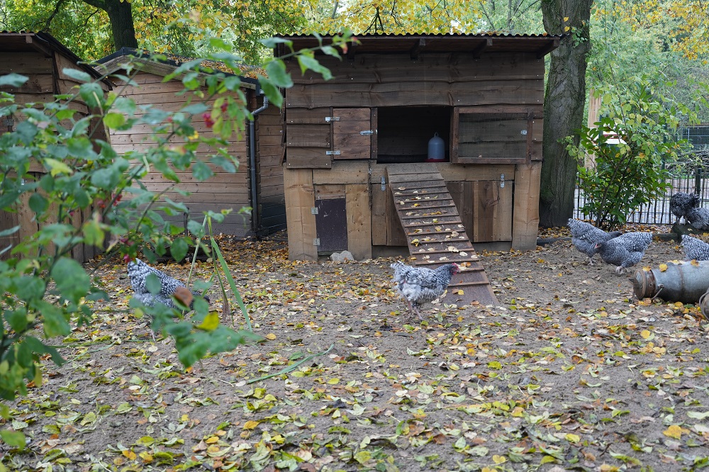 Een unieke rondleiding bij Tiergarten Kleve in Duitsland (review)