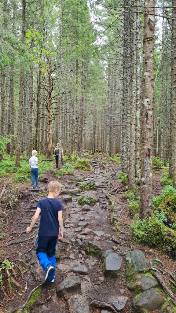 Avontuurlijke Trollkyrkja wandeling: een gezinsuitje in Noorwegen