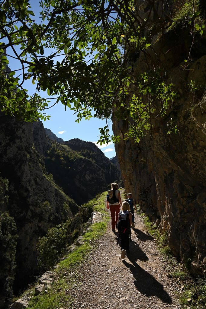 De Picos de Europa in Spanje: onze ervaring & 4 tips!