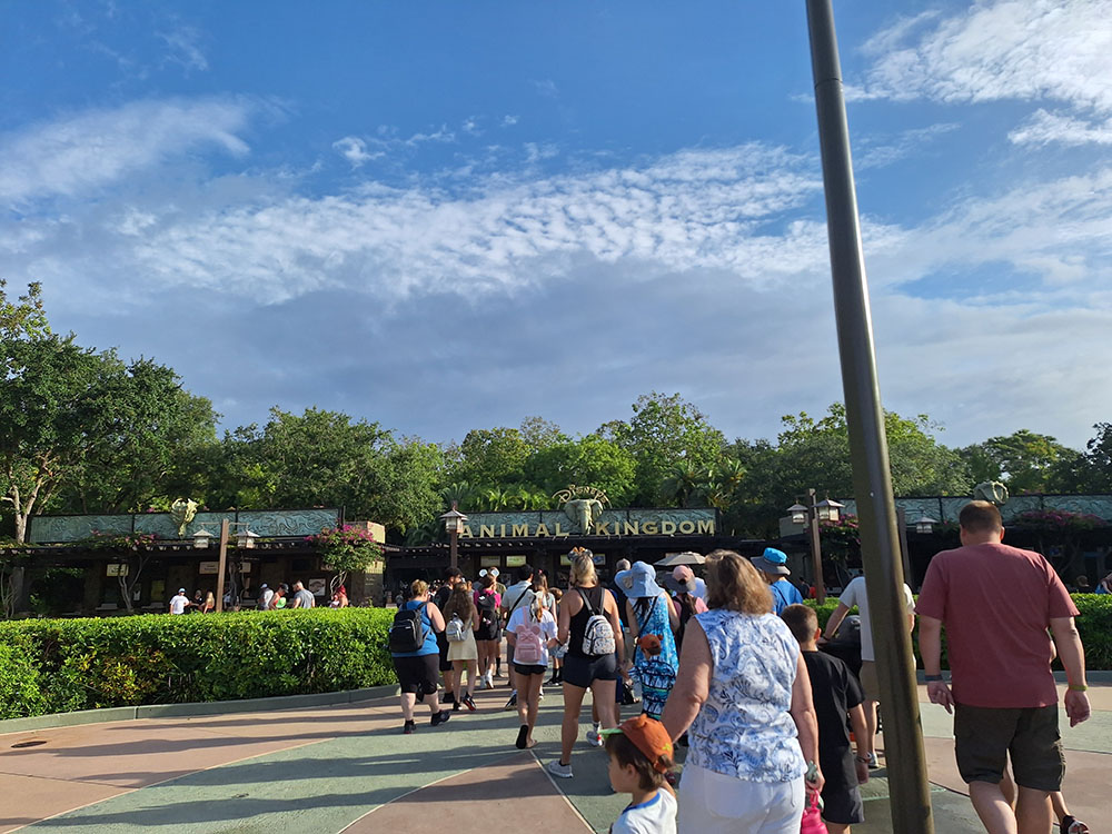 Disney World Orlando, Florida (review)