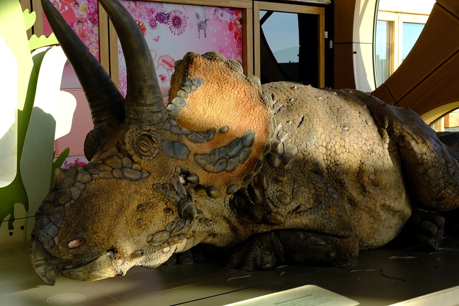 Op bezoek bij Triceratops de kudde van Naturalis (review)