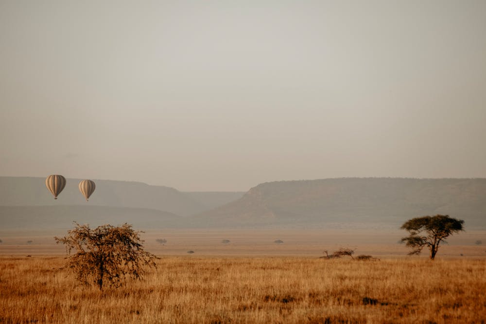 Reizen naar Afrika met kids: alle voor- en nadelen op een rij!