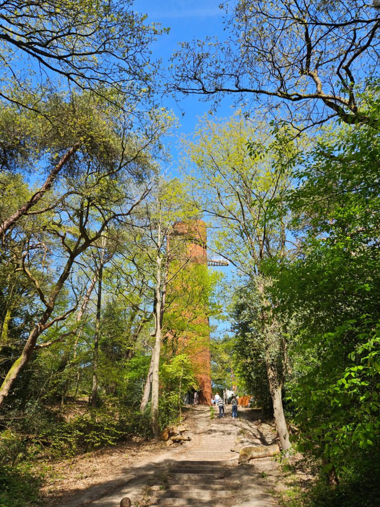 Bosbergtoren in Appelscha (review)