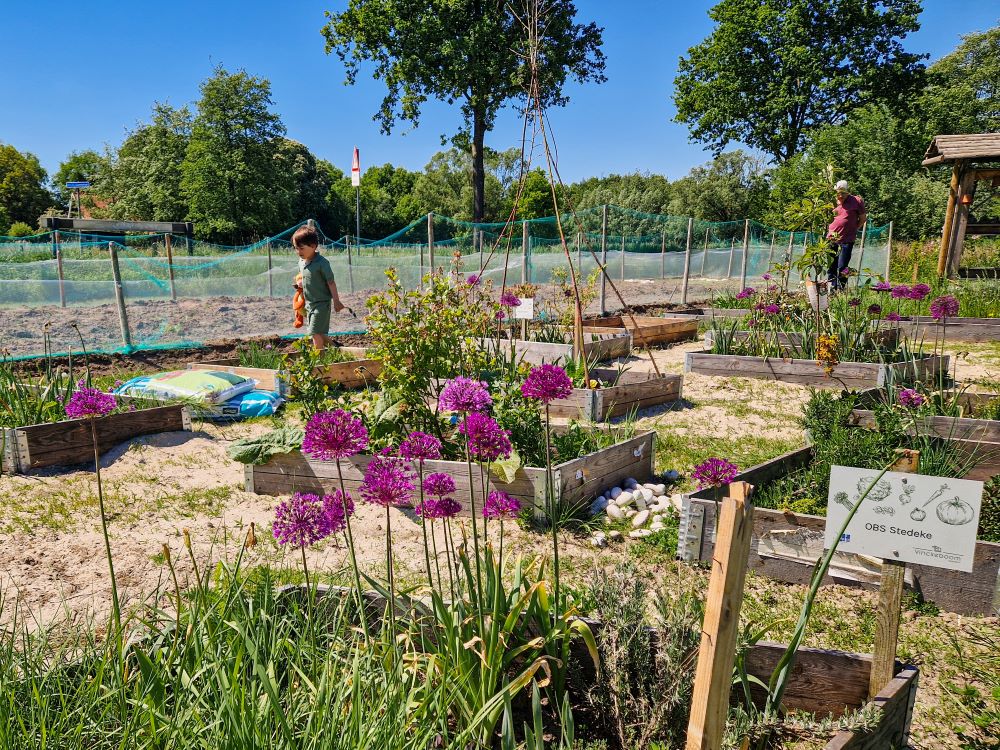 moestuin buitenplaats vinckeboom