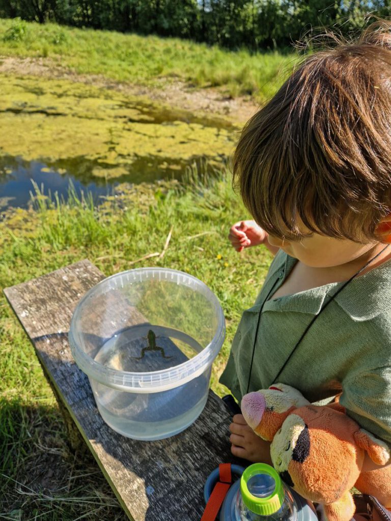 natuur educatie vinckeboom