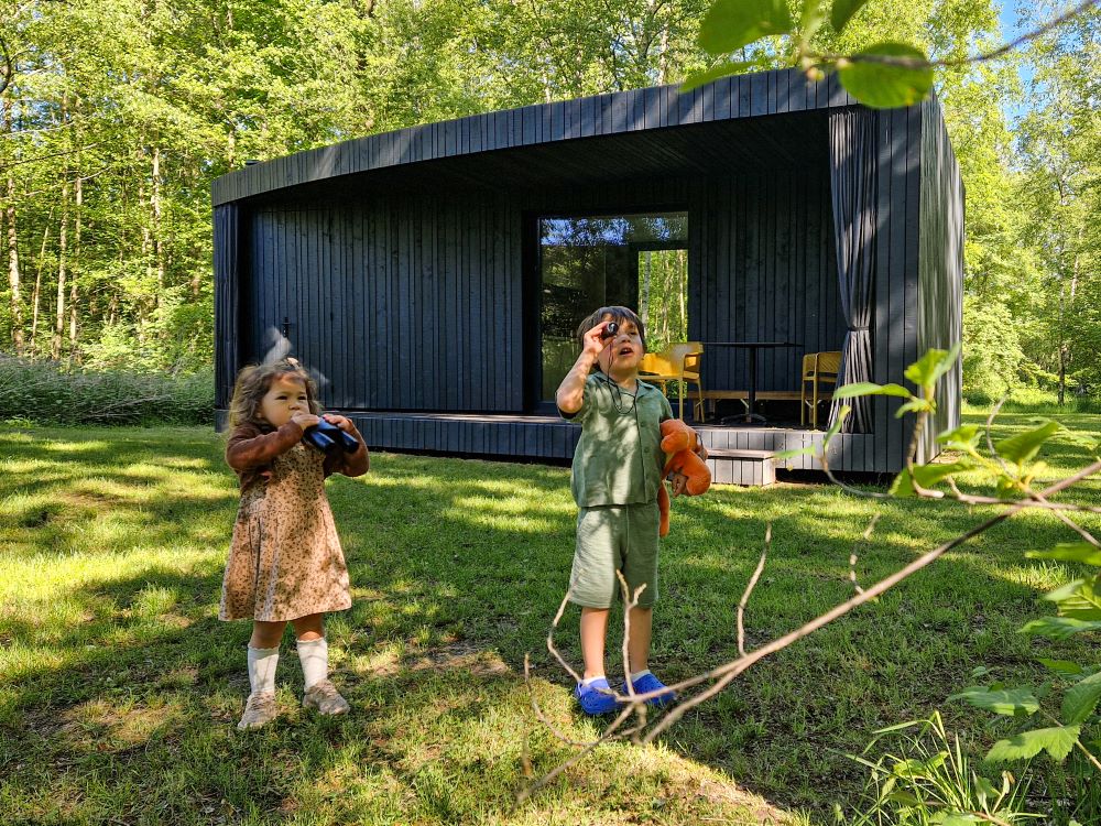 vinckeboom capsula