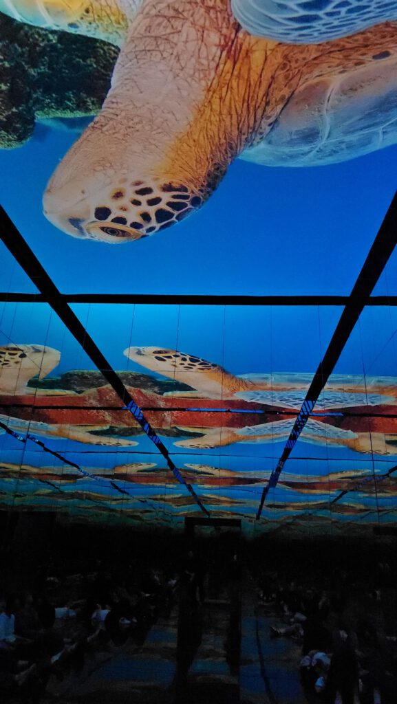 Fabrique des Lumières in Amsterdam (review)