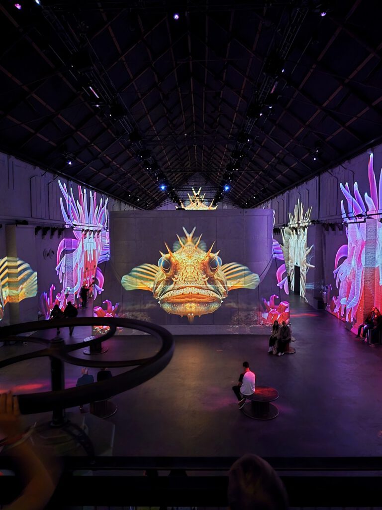 Fabrique des Lumières in Amsterdam (review)