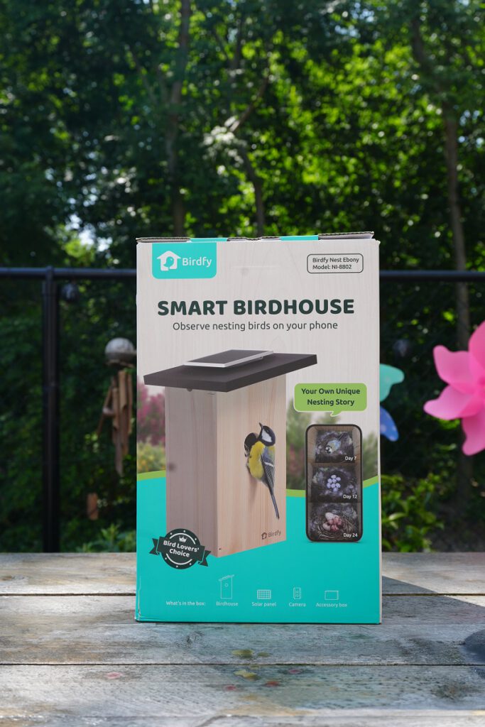 Vogels spotten met kinderen - Birdfy