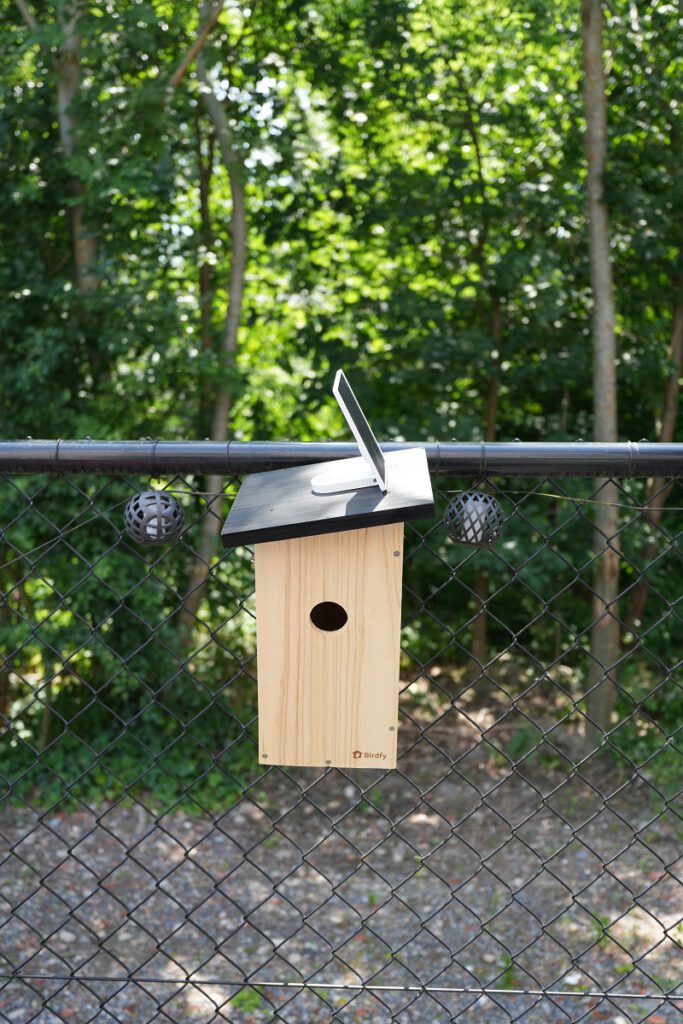 Vogels spotten met kinderen - Birdfy