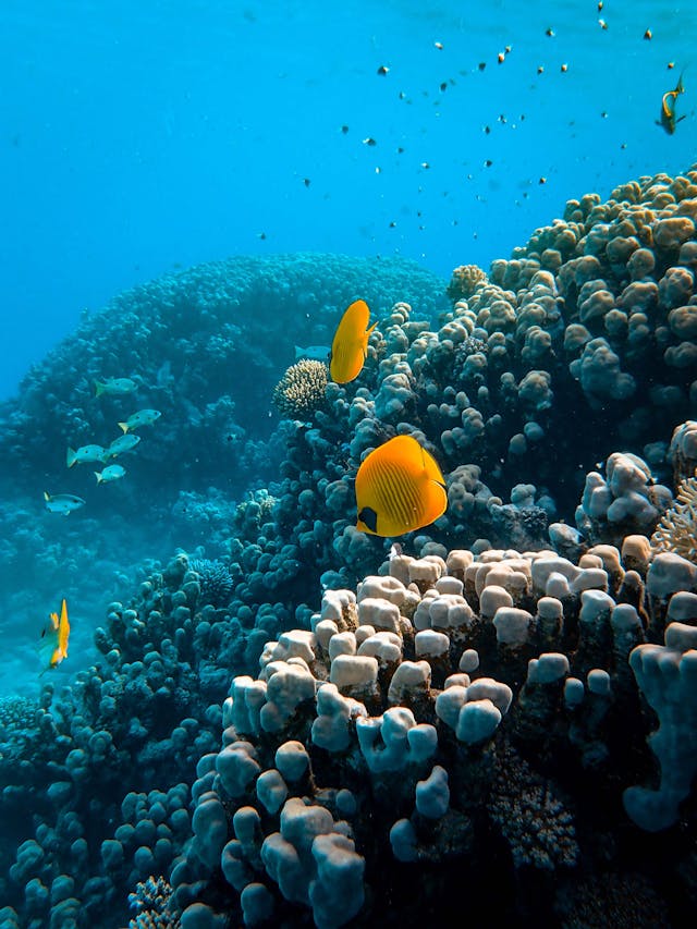 Egypte met kinderen: meer dan 9 tips!