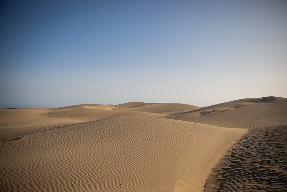 De Canarische Eilanden: welk eiland is het leukste om met kinderen te bezoeken?