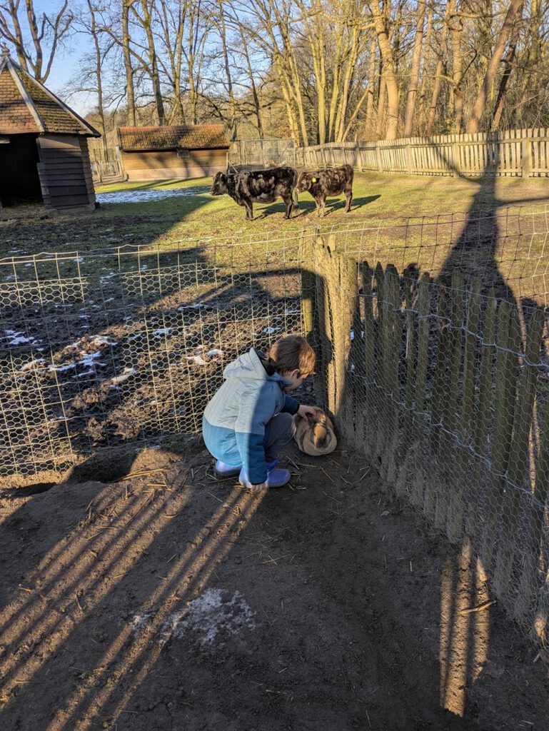 Eropuit met kinderen in Noord-Brabant - Kienehoef