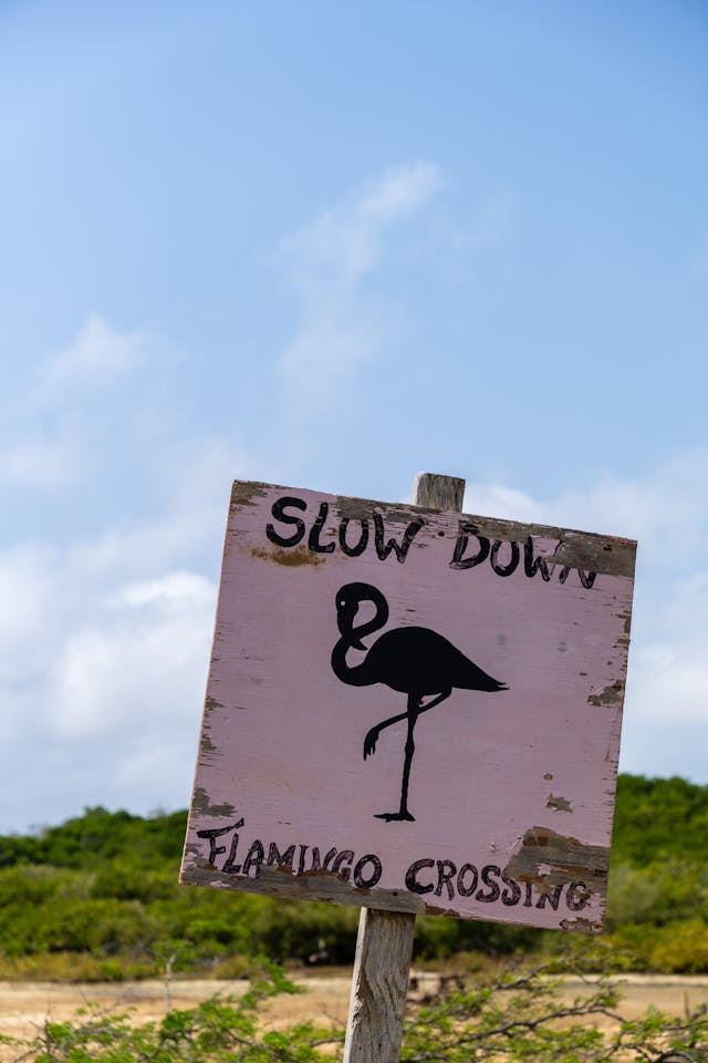 Bonaire met kinderen: 7 tips!