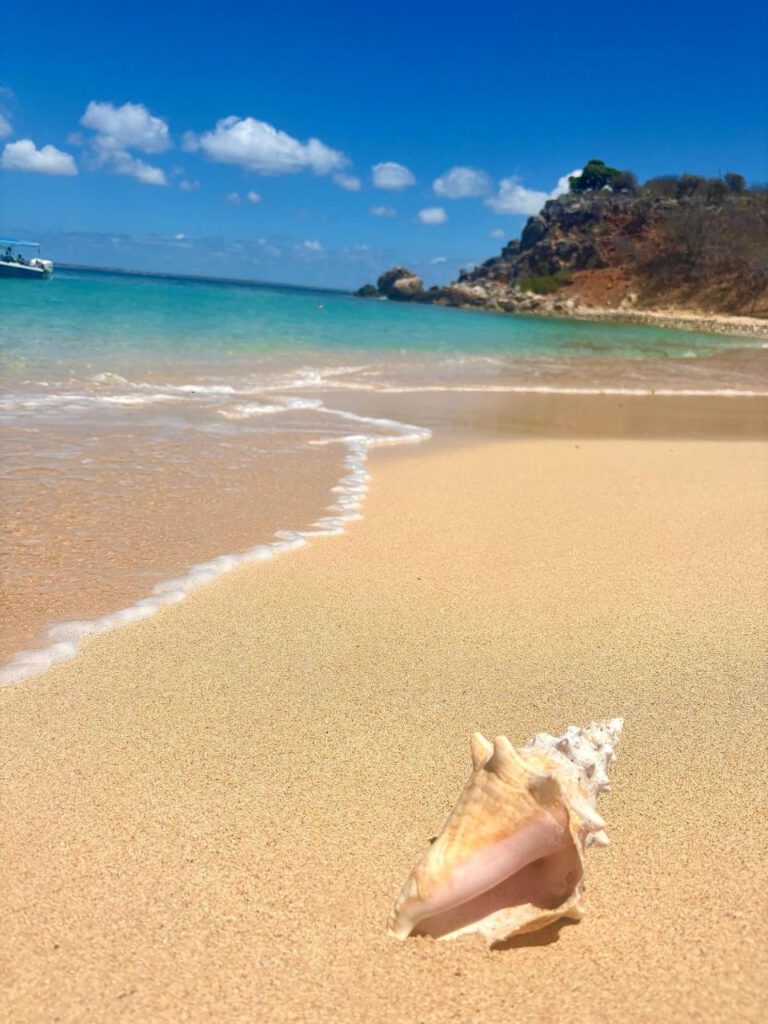 Tintamarre - Sint Maarten met kids