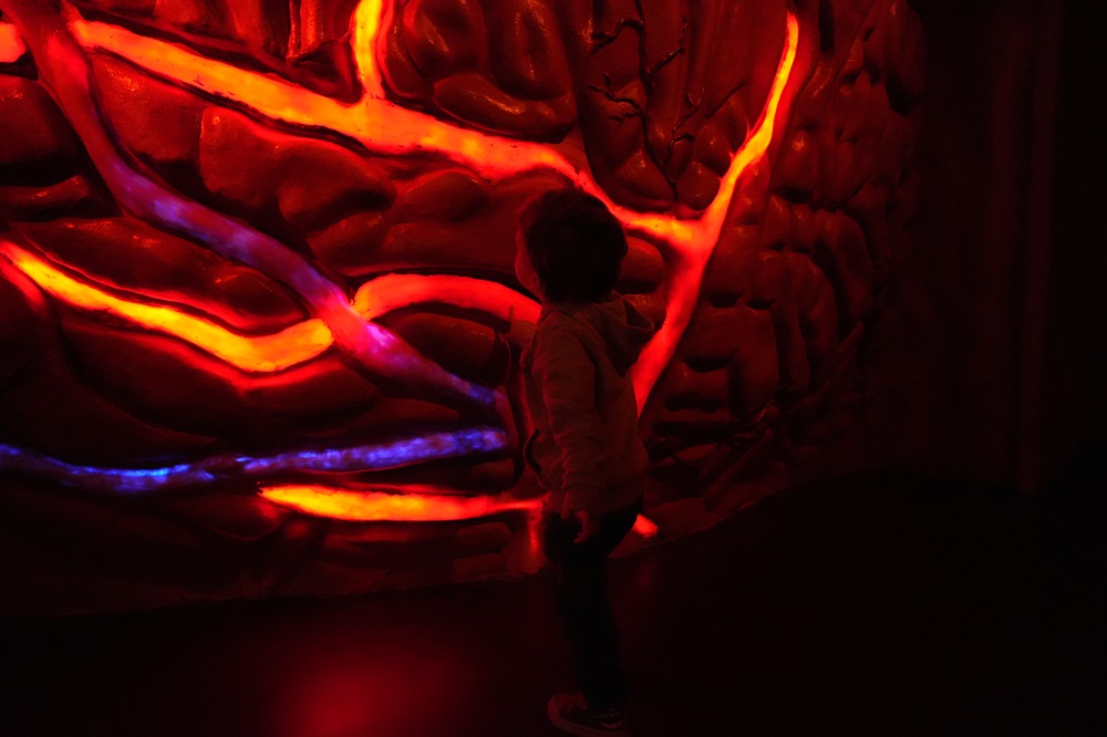 CORPUS Experience - reis door de mens bezoeken met kids (review & fotoverslag)