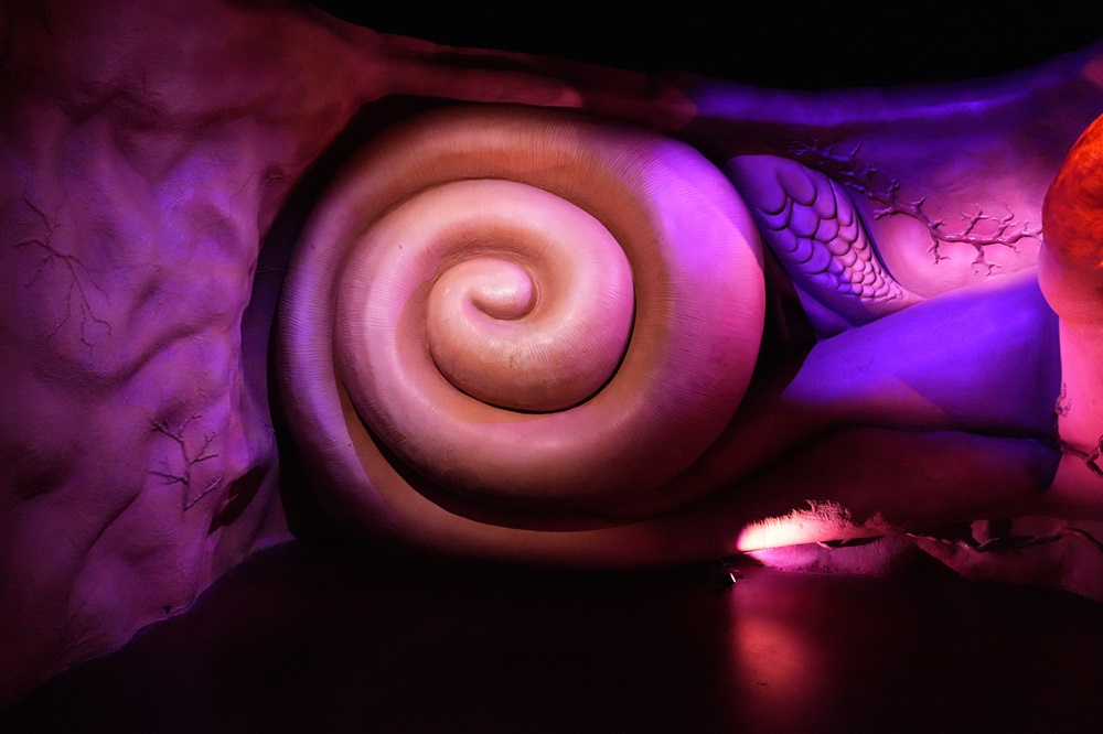 CORPUS Experience - reis door de mens bezoeken met kids (review & fotoverslag)