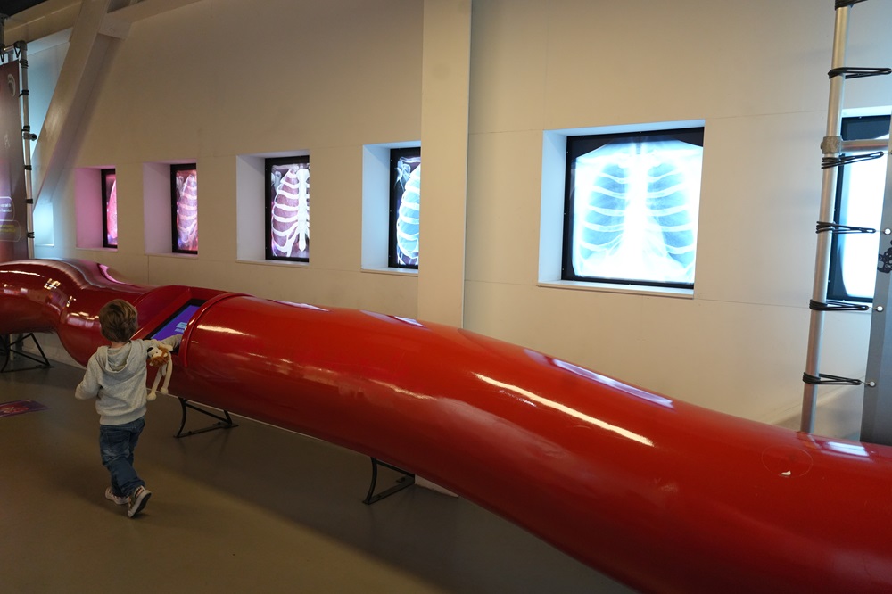 CORPUS Experience - reis door de mens bezoeken met kids (review & fotoverslag)