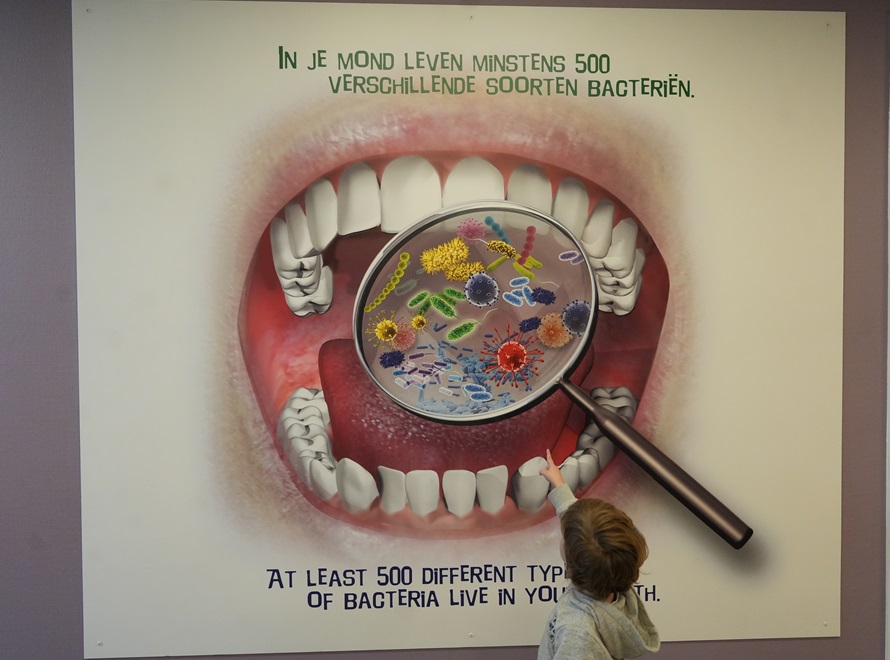 CORPUS Experience - reis door de mens bezoeken met kids (review & fotoverslag)