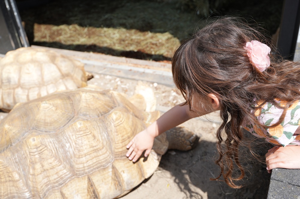 Reptielenhuis De Aarde in Breda bezoeken met kids (review)