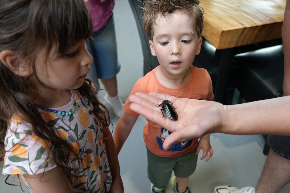 Reptielenhuis De Aarde in Breda bezoeken met kids (review)